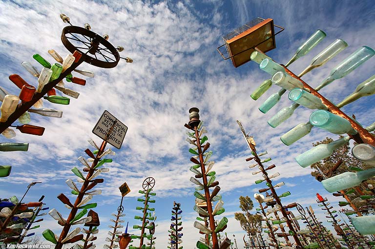 Bottle Tree Farm