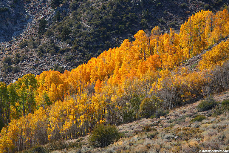 June Lake Loop