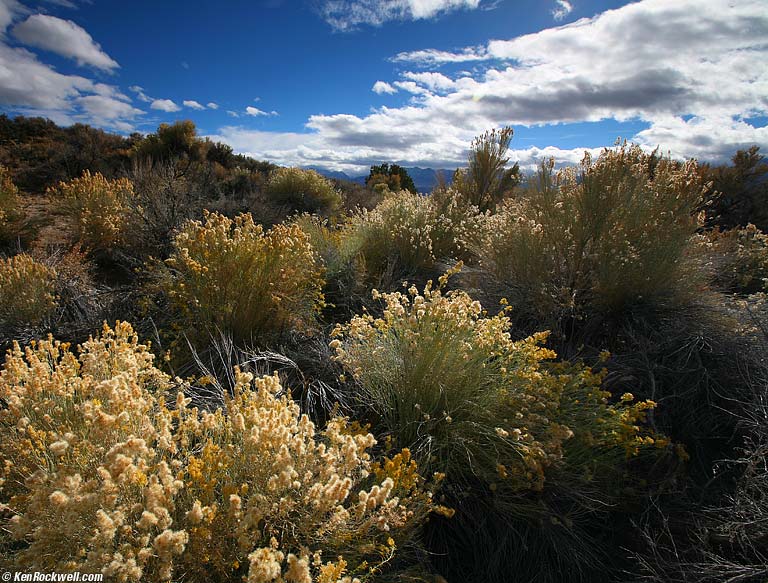 Bridgeport Reservoir
