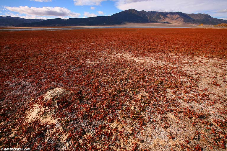 Bridgeport Reservoir