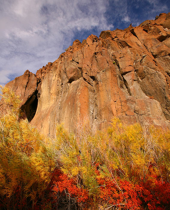 Walker River, Bridgeport, California