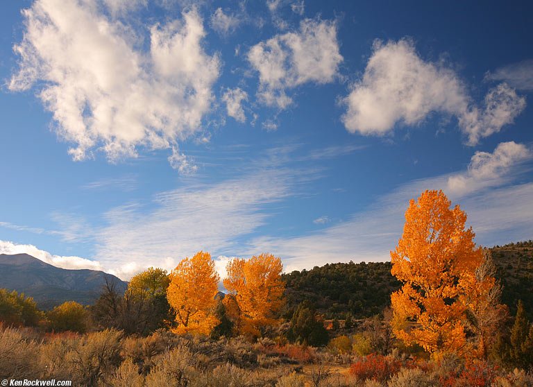 Walker River, Bridgeport, California
