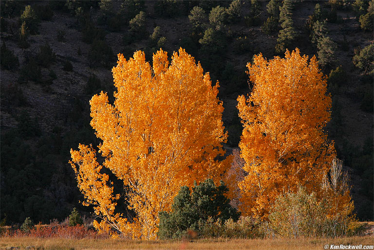 Walker River, Bridgeport, California