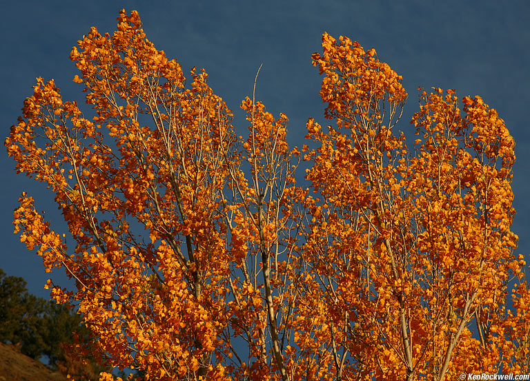 Walker River, Bridgeport, California