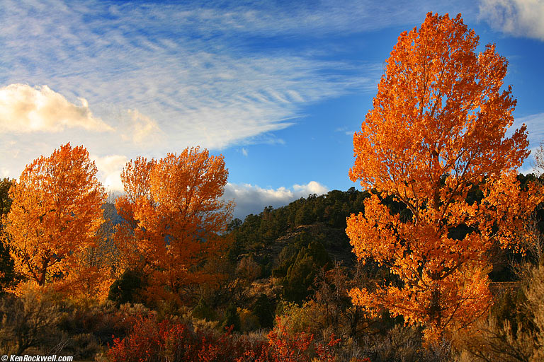 Walker River, Bridgeport, California