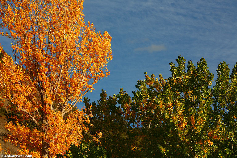 Walker River, Bridgeport, California