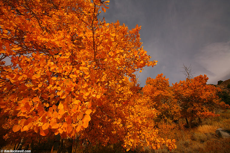Angry Colors, Eastern Sierra, California.