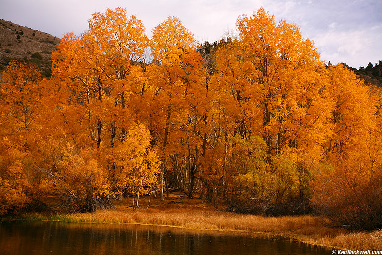 Boring Idyll, June Lake Loop, Eastern Sierra, California.