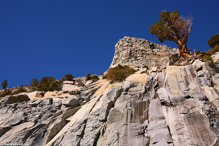 Yosemite's Back Door: Along California's Route 120.