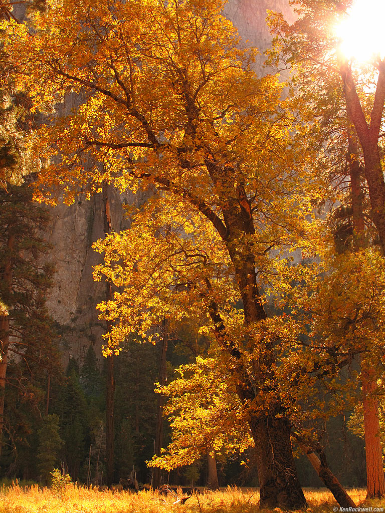 El Capitan Meadow