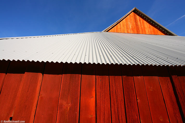 Barn, Foresta