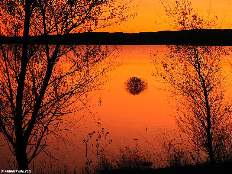 Bosque del Apache, New Mexico.