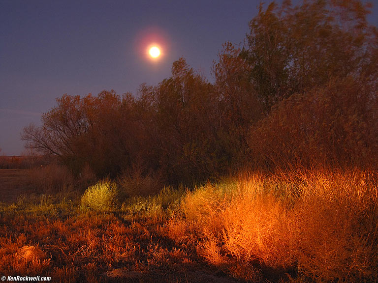 Bosque del Apache, New Mexico.
