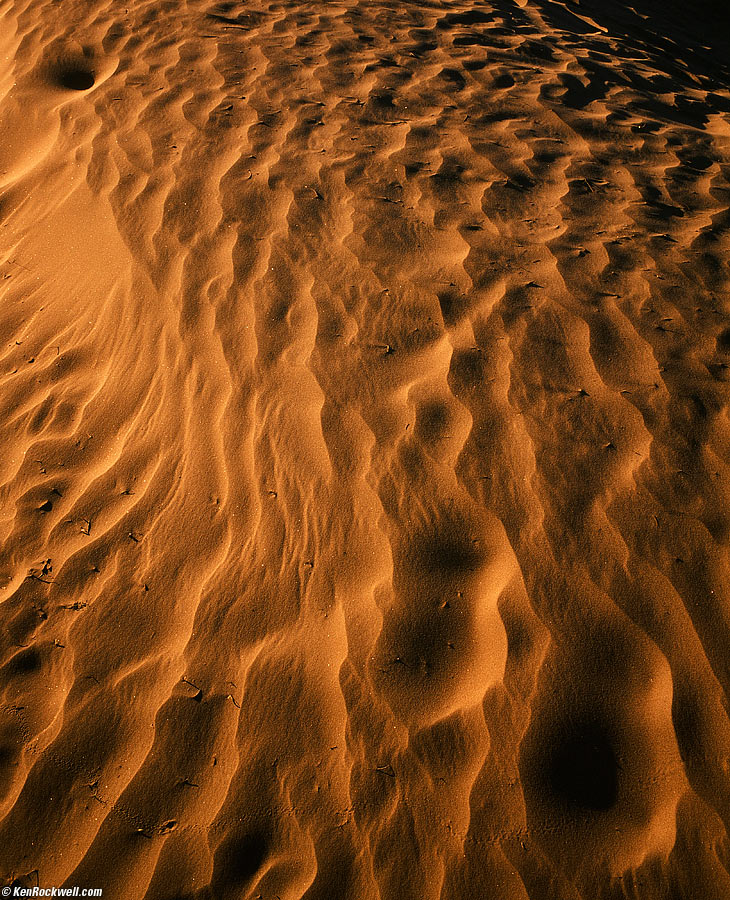 The Power of the Sea