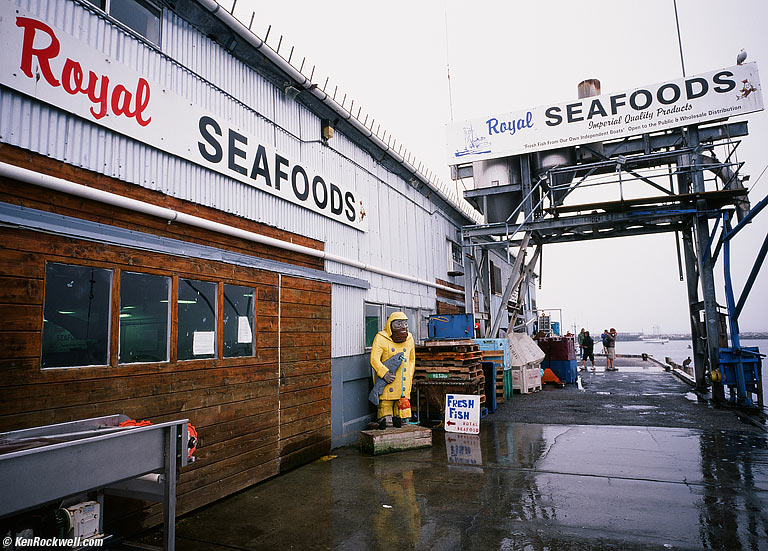 Royal Fish, Monterey