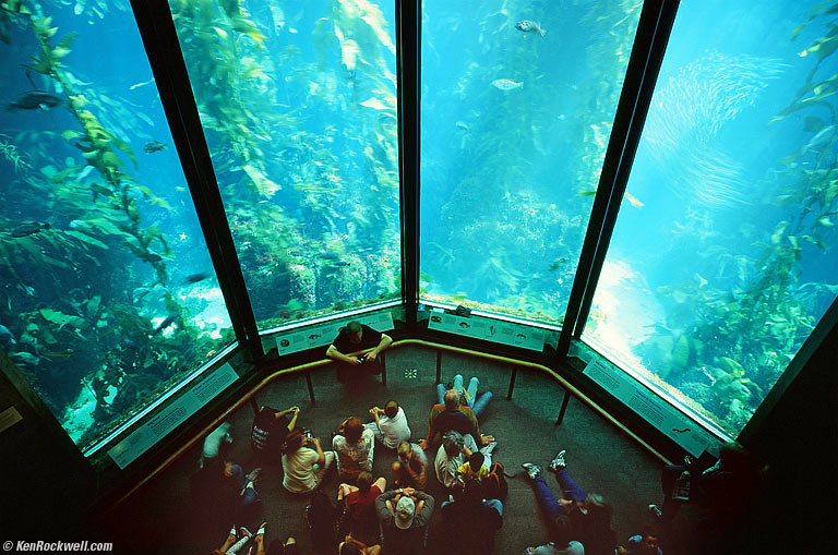 Monterey Aquarium