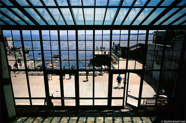 Homage to Jay Maisel's Window Washer