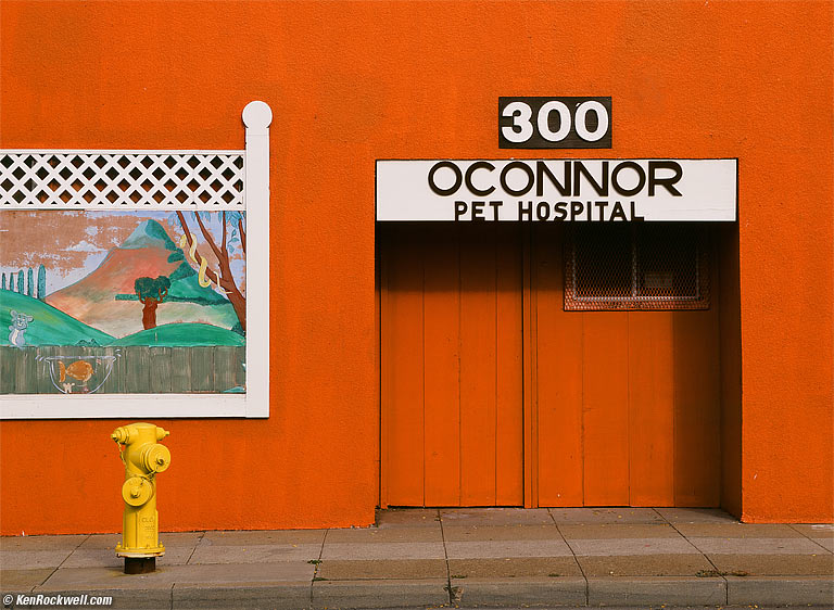 OConner Pet Hospital, SLO