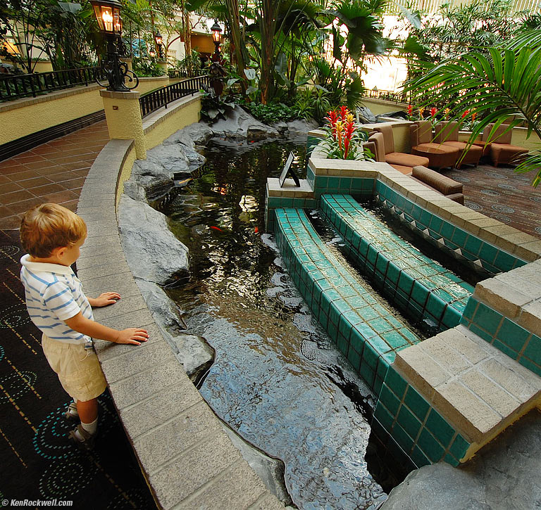 Ryan Checks out the Fish in the Lobby, 10:12 AM.