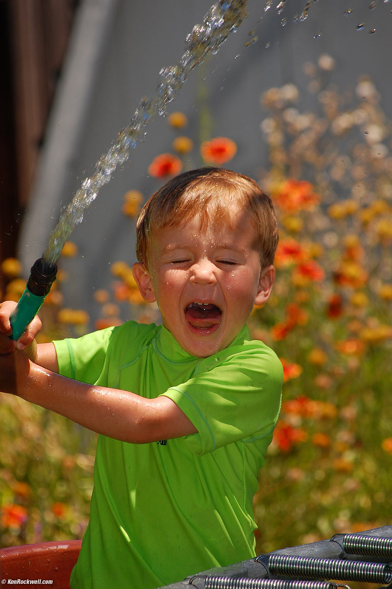 Ryan and Hose, Aunt Lisa's Back Yard, 2:00 PM. video. 