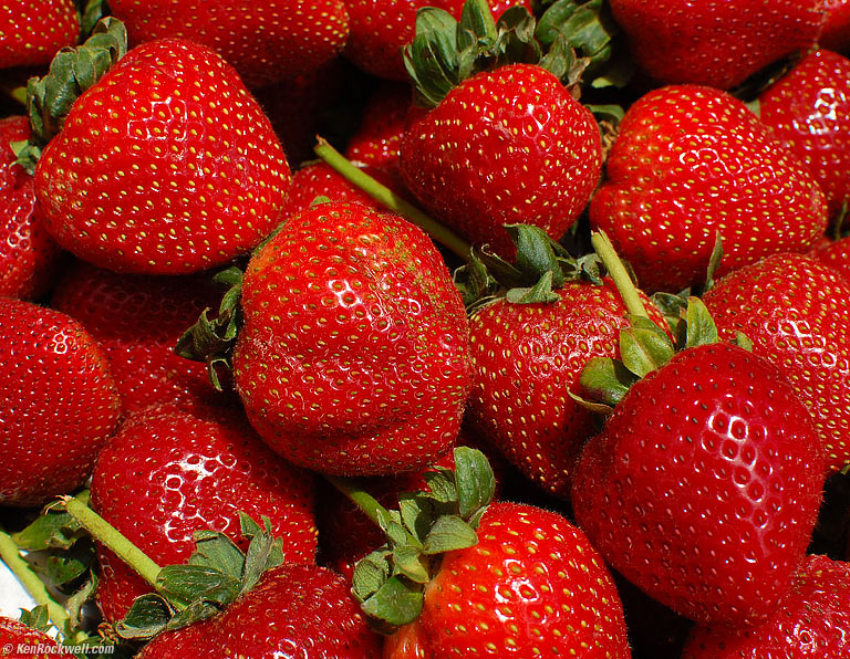 Strawberries at Pier 39, 2:50 PM.