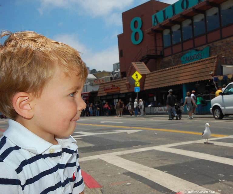 Ryan and Gull, San Francisco, 1:02 PM.