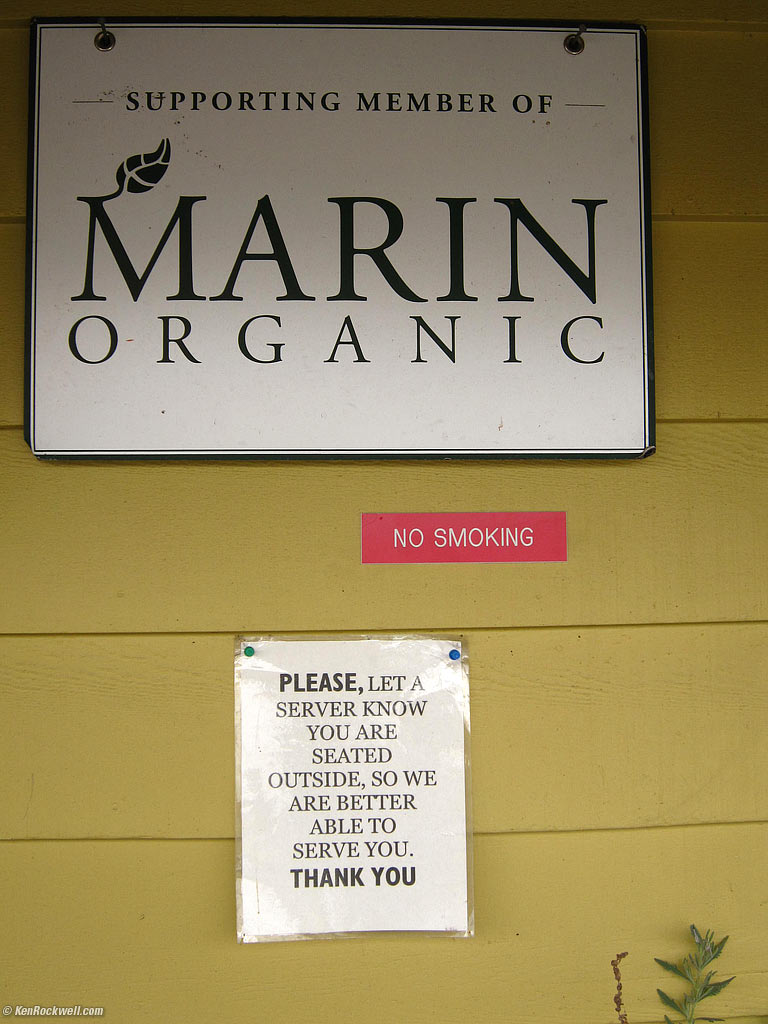 More Reading Material, Point Reyes Statian, California, 1:38 PM.