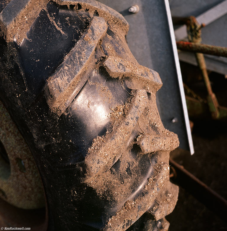 Farm Tread, West Marin, California, 5:30 PM.