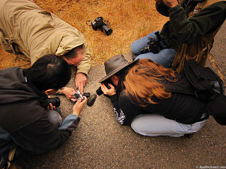 Something Interesting, Point Reyes National Seashore, California, 8:53 AM.