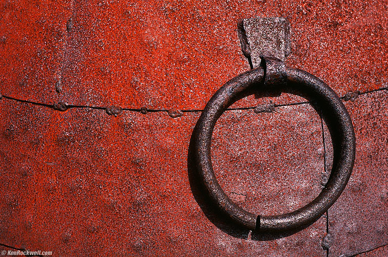 Ring, Nick's Cove, Tomales Bay California, 1:00 PM.