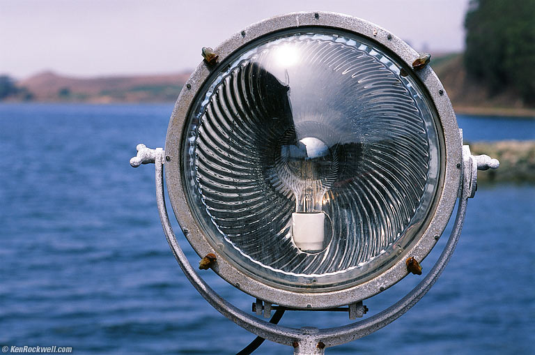 Sea Lamp, Nick's Cove Pier, Tomales Bay California, 1:10 PM.