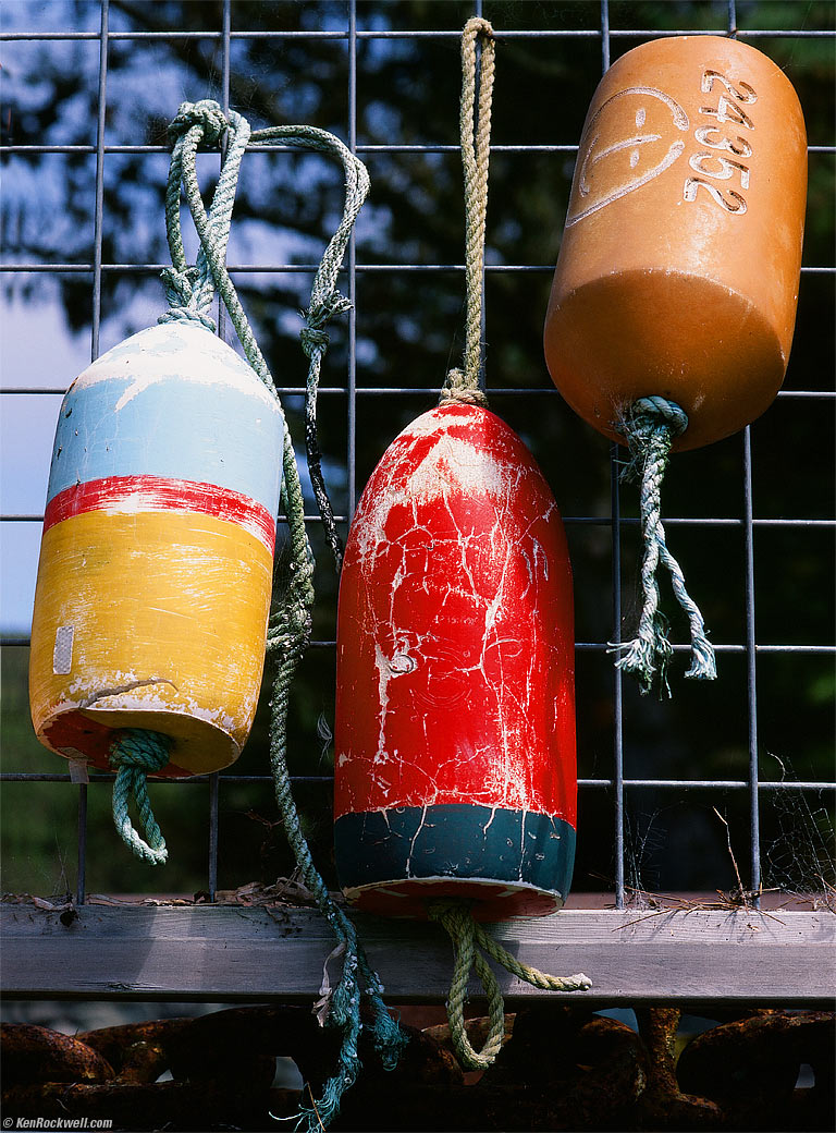 Float Display, Tomales Bay California, 2:03 PM.