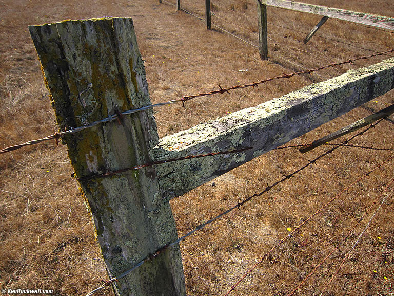 Fence, West Marin, California, 11:08 AM.