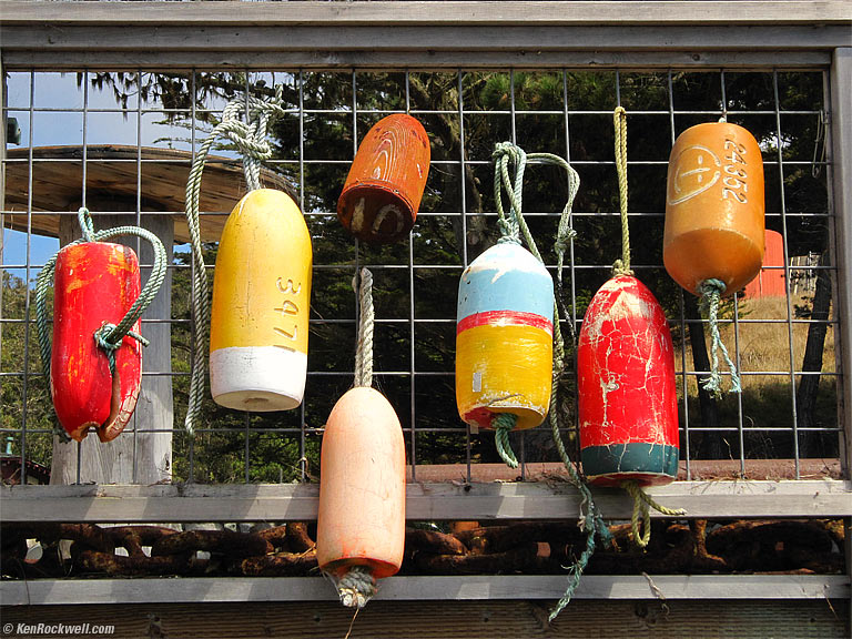 Float Display, Tomales Bay California, 2:08 PM.