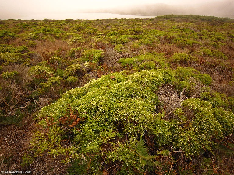 Hump and Fog, Abbotts Lagoon, West Marin, California, 5:54 PM.