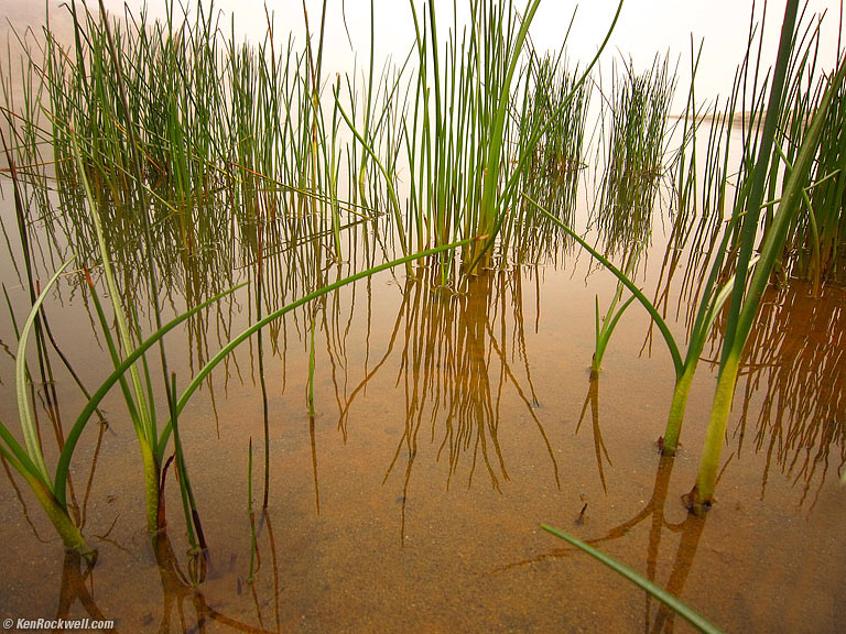 Evening Glass, Abbotts Lagoon, West Marin, California, 6:50 PM.