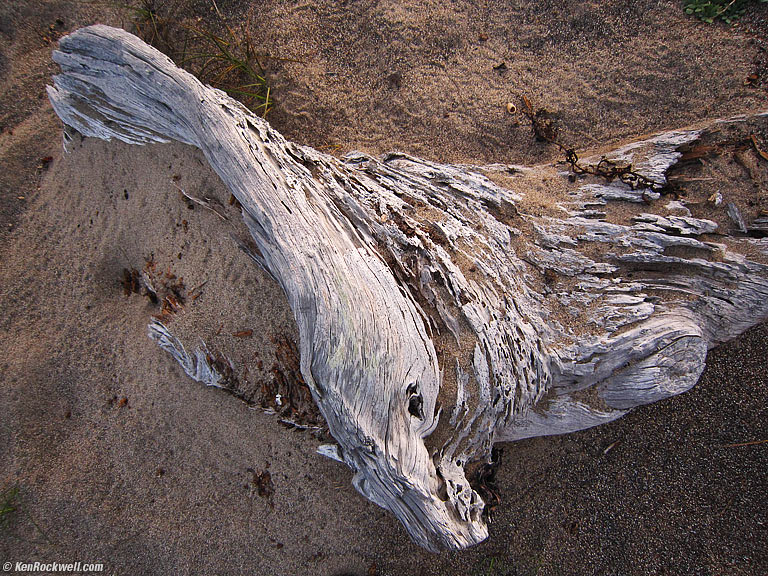 Driftwood, Abbotts Lagoon, West Marin, California, 7:39 PM.