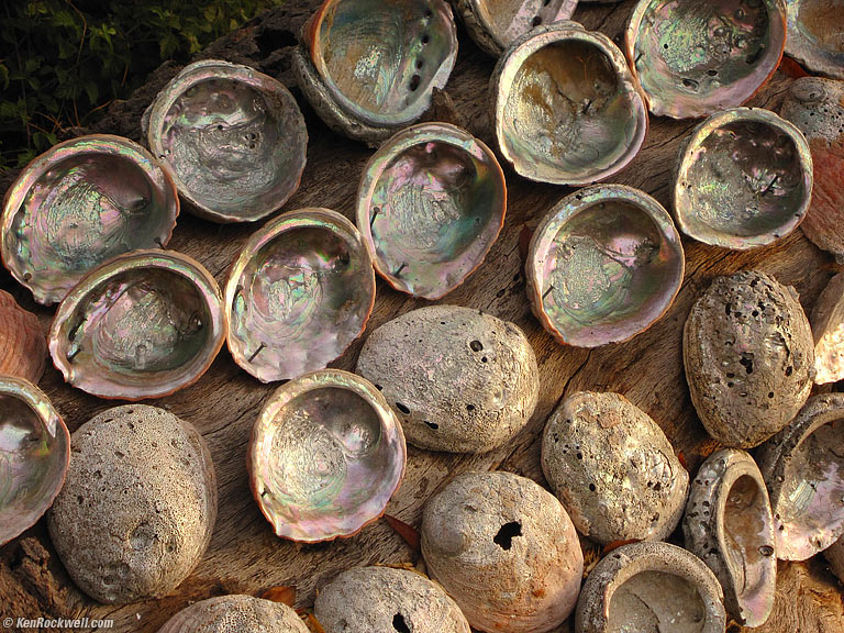 Abalone, Abalone Inn, Inverness, California, 7:48 AM.