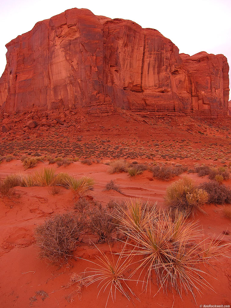 Yucca, Pre-Dawn, Monument Valley, Navajo Nation, 6:51 AM.