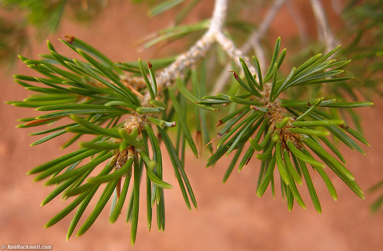 Arches National Park, near Moab, Utah, 11:39 AM.