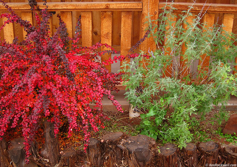 Red and Green, Red Cliffs Lodge, Moab, Utah