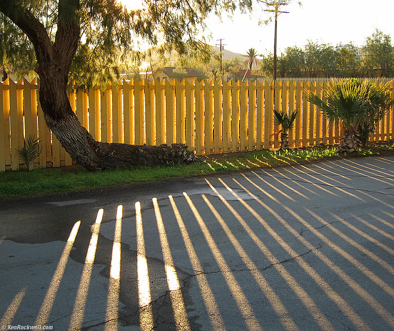 Sunbeams, Furnace Creek Ranch, Death Valley, 7:46 A.M.