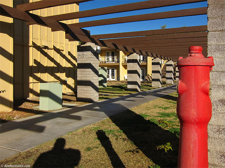 Red Pole, Furnace Creek Ranch, Death Valley, 9:14 A.M.