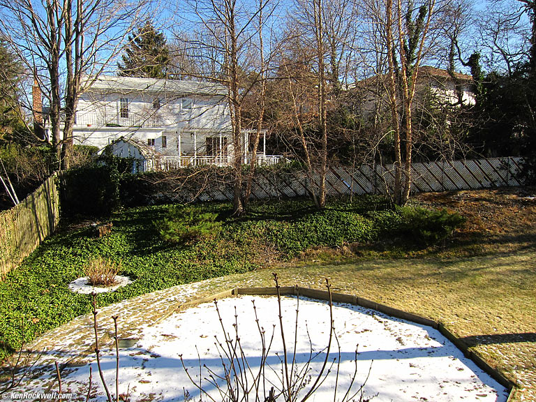 View from My Window, Long Island, NY