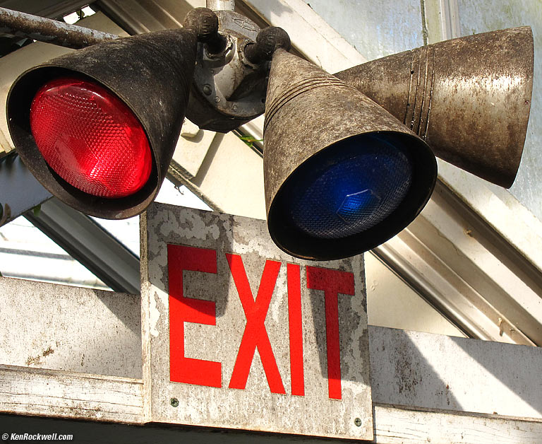 The Three Sisters, Planting Fields Arboretum, Oyster Bay, Long Island