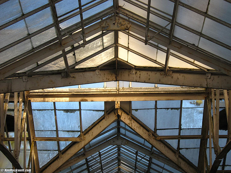 Light, Planting Fields Arboretum, Oyster Bay, Long Island, 3:20 PM