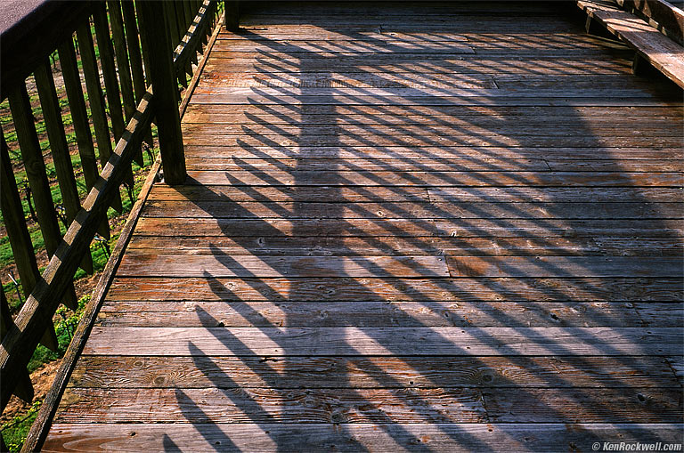 Gold Hill Vineyard, Placerville, California.