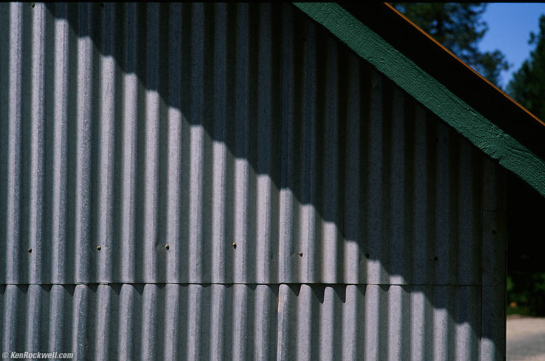 Tin Wall, Empire Mine, Grass Valley, California.