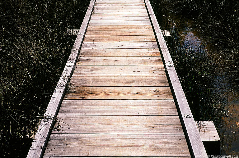 Boardwalk in Sun, Malakoff Diggins, California.