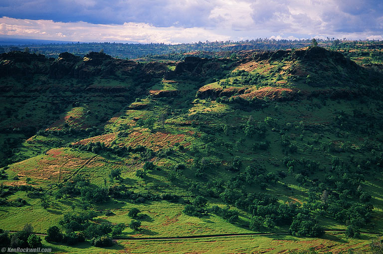Green Canyon, Chico, California.